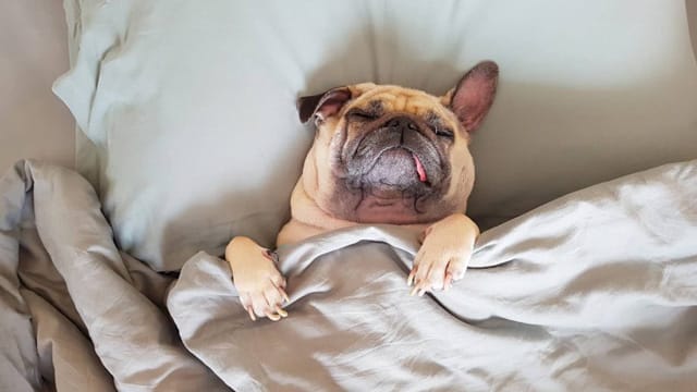 Những lưu ý quan trọng khác