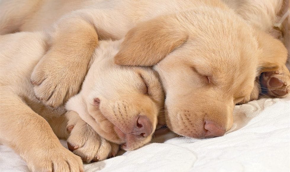 Những ảnh hưởng của môi trường xung quanh