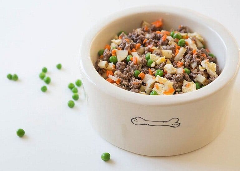 Lên chế độ dinh dưỡng khoa học khi nuôi chó Phốc