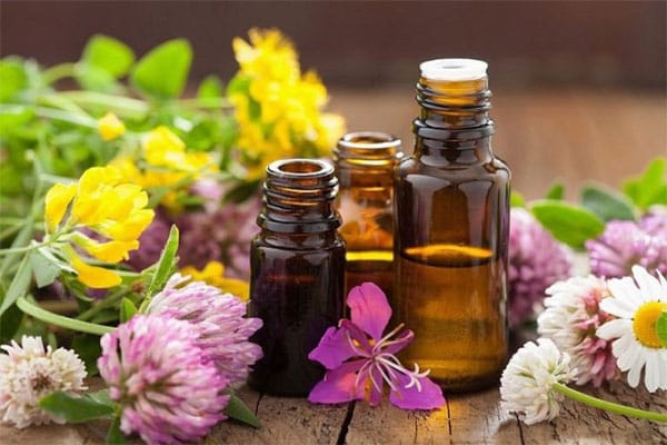 Cách trị ve chó bằng tinh dầu