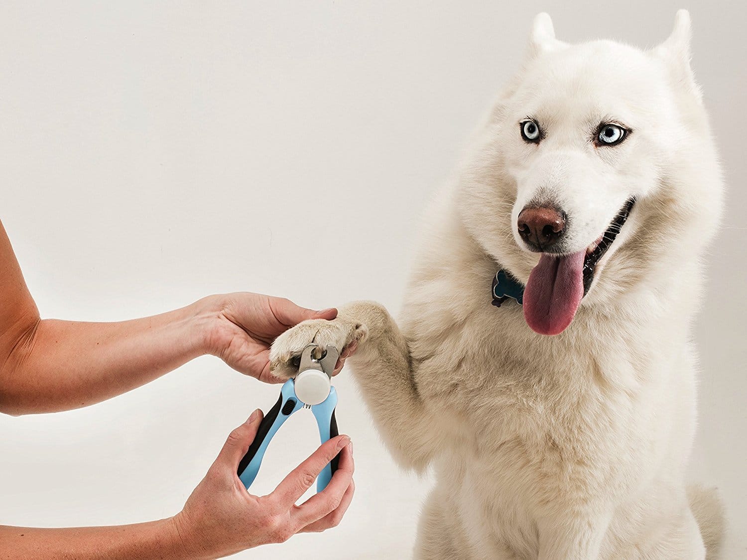 Đảm bảo vệ sinh, loại bỏ vi khuẩn