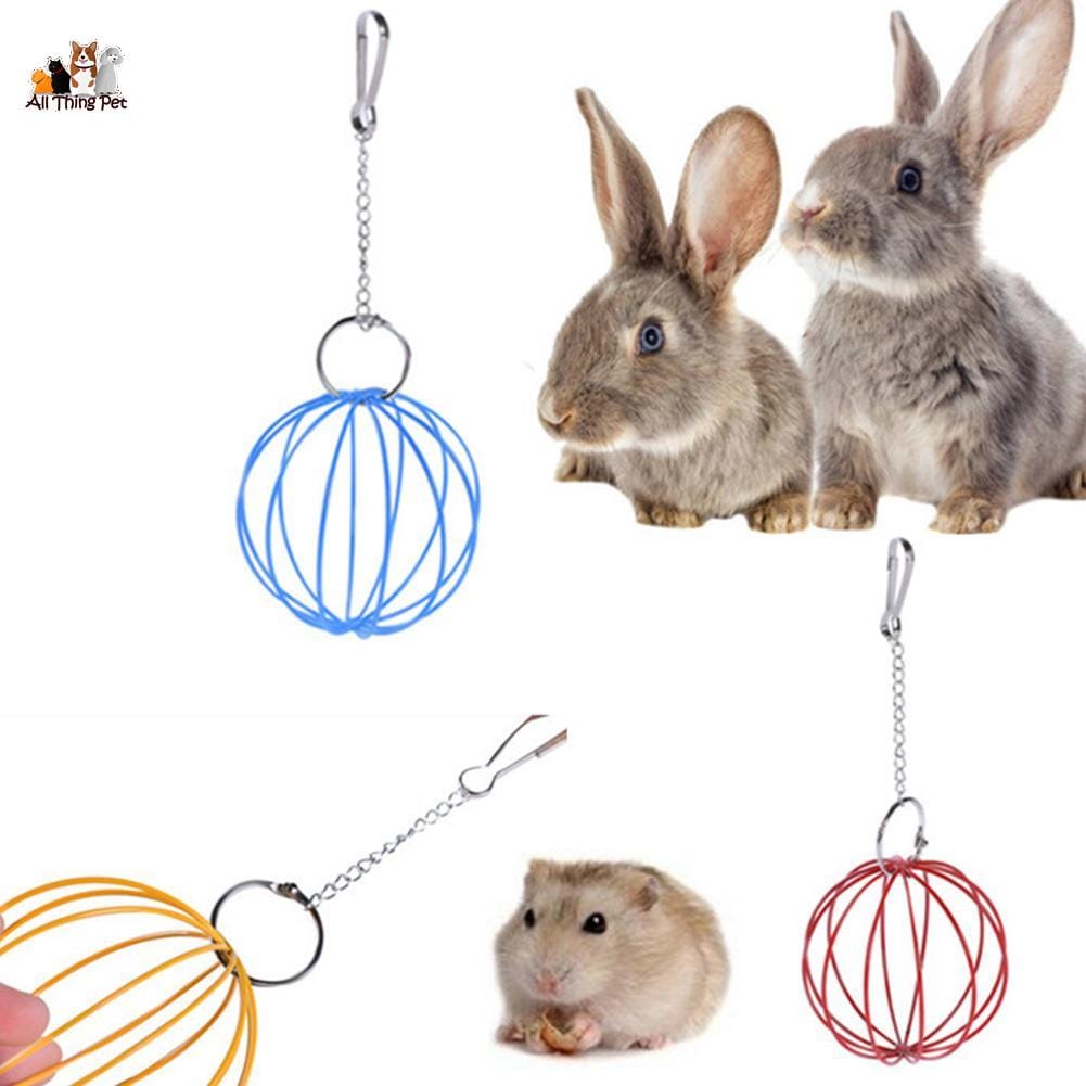 Đồ chơi cho thỏ – Lưu ý quan trọng khi chăm sóc thỏ