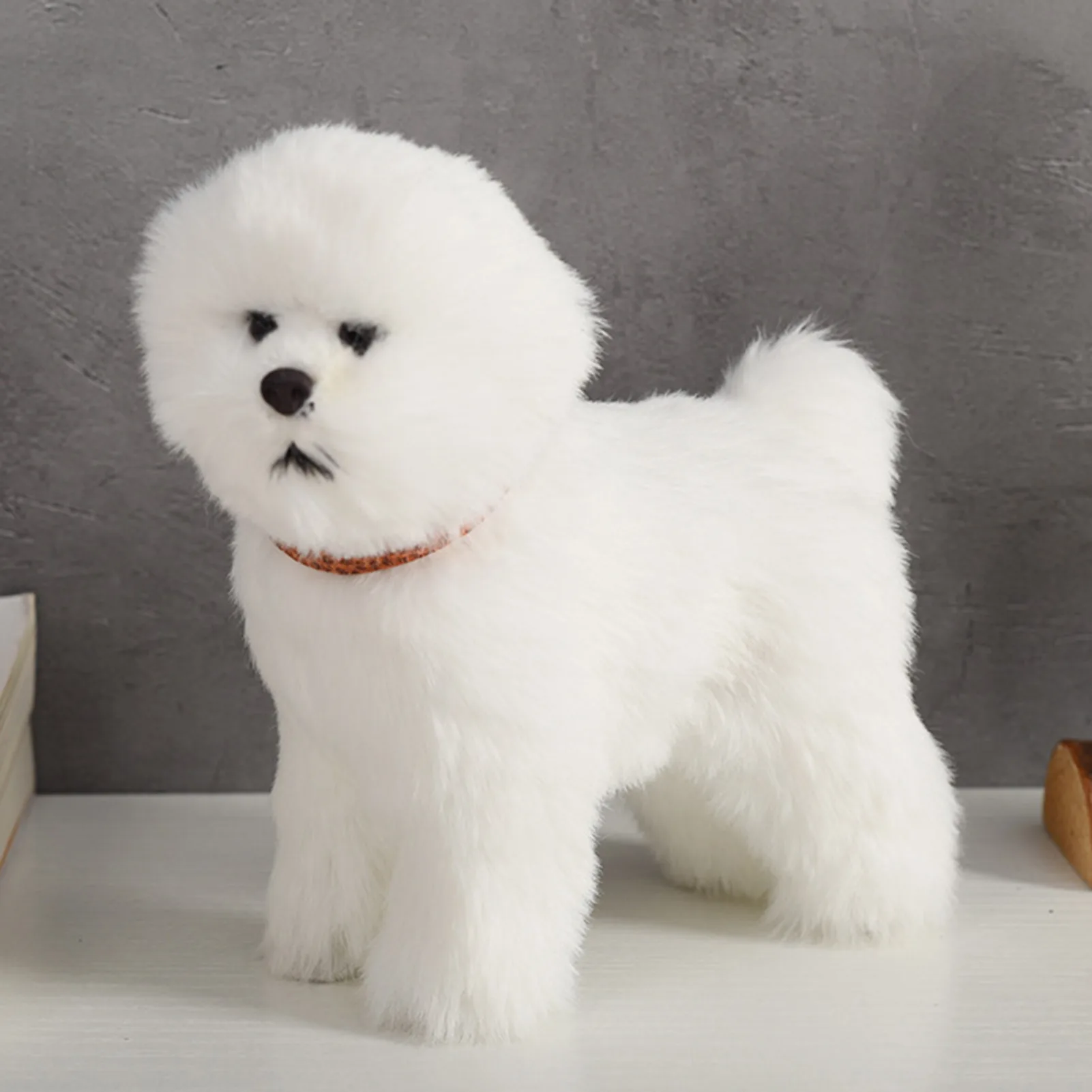 Cách bạn vệ sinh hàng ngày cho Bichon Frise