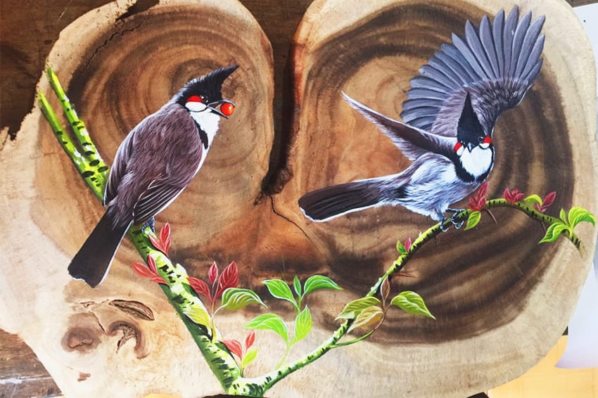 Chăm sóc cho chim chào mào bổi