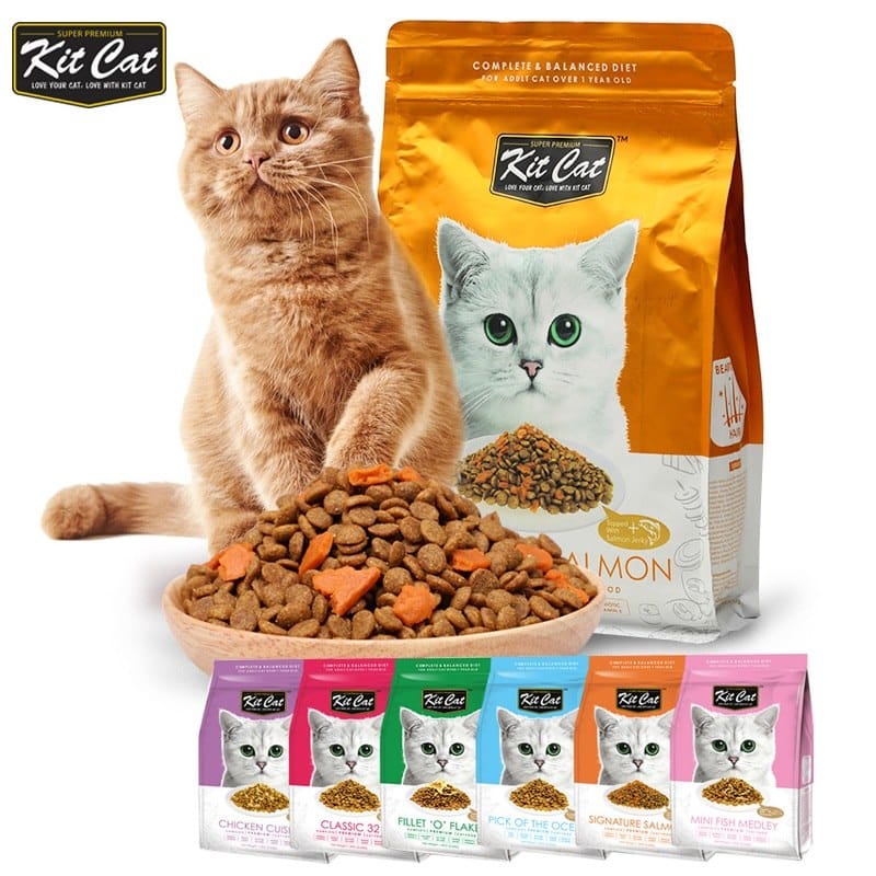 Không cho heo kiểng ăn thức ăn chó mèo