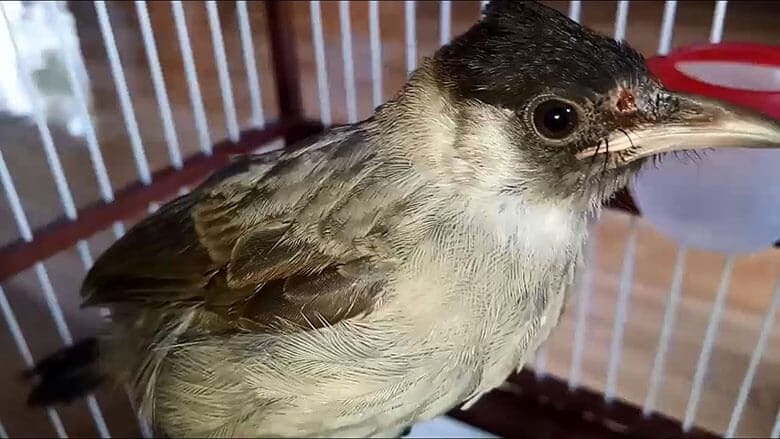 Chế độ ngủ đúng giờ